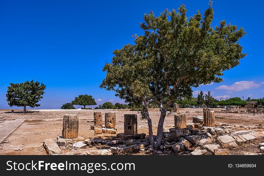 Tree, Sky, Ruins, Plant