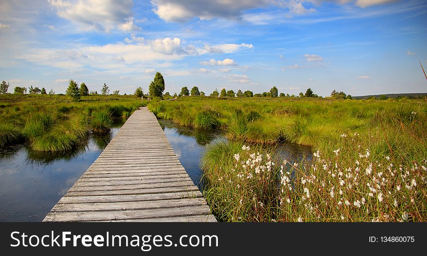 Wetland, Nature Reserve, Waterway, Sky