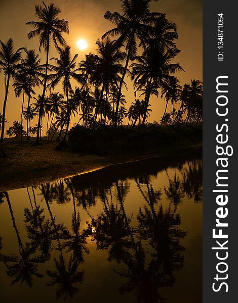 Silhoutte of a palm in sunset on the ocean with sailing ship. Silhoutte of a palm in sunset on the ocean with sailing ship