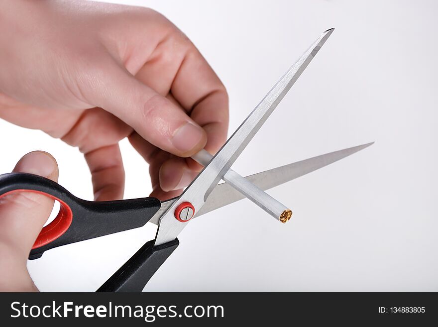 Studio shoot of hands with scissors cutting a cigar on white background. Tobacco abuse and no smoking and unhealthy concept. Close up, selective focus