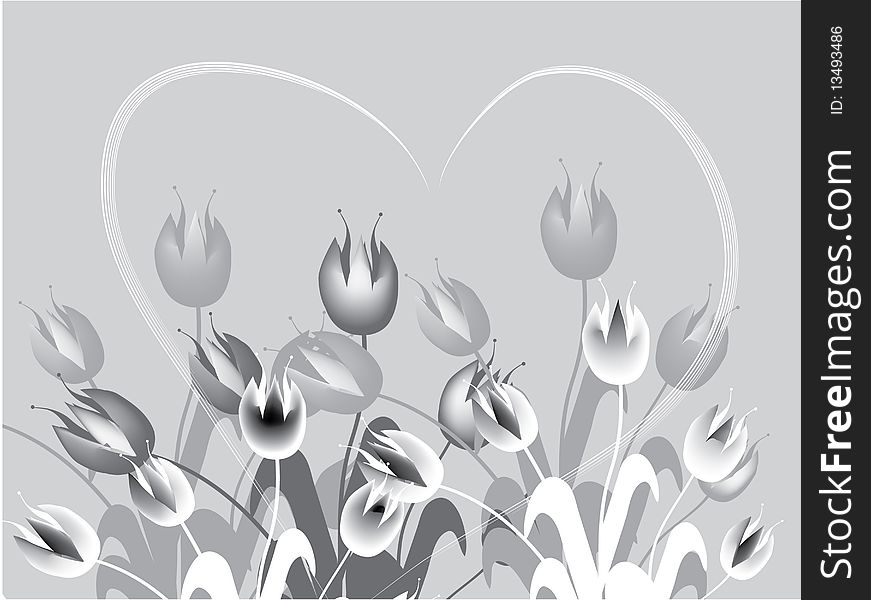 Field of gray tulips with heart