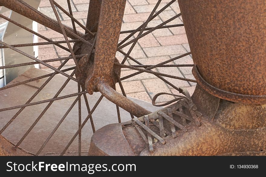 Shoe, Tree