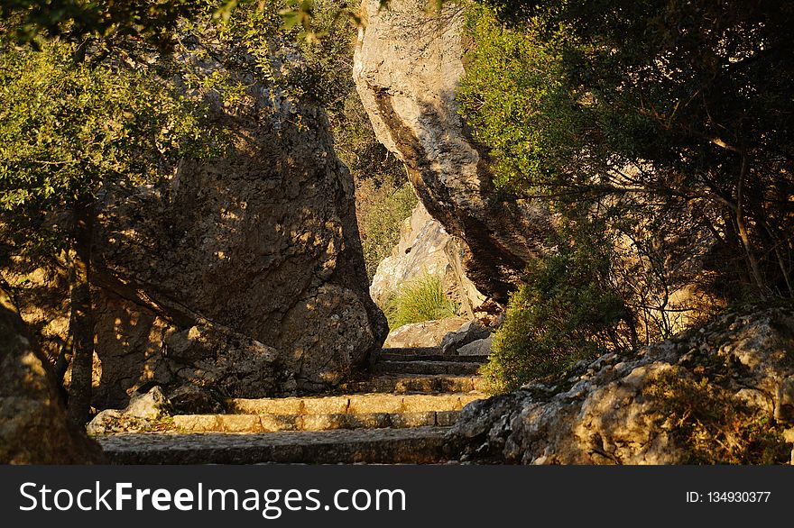 Nature, Nature Reserve, Rock, Tree