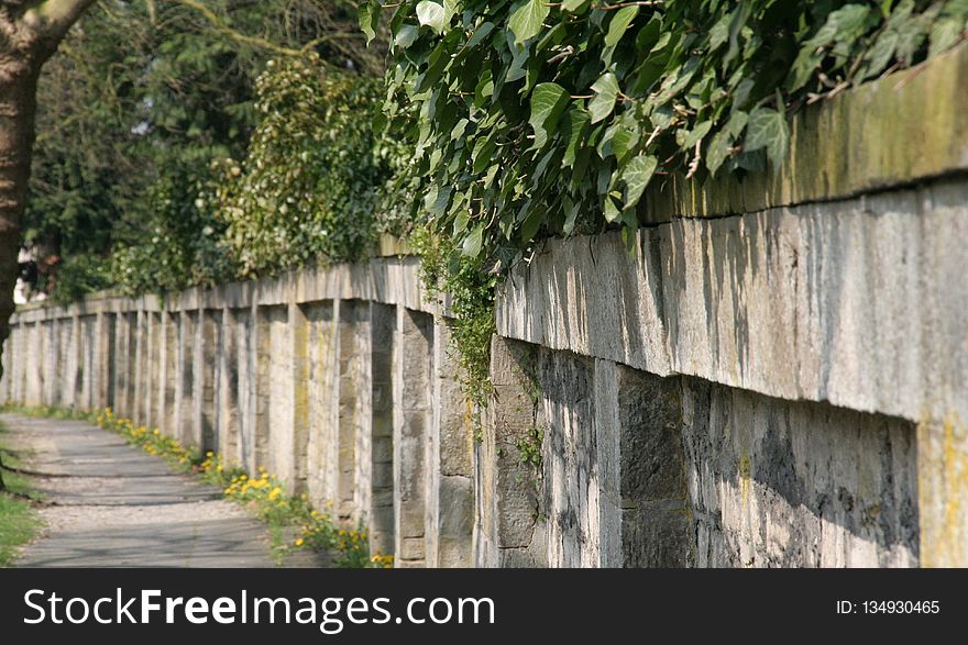 Wall, Fence, Tree, Outdoor Structure