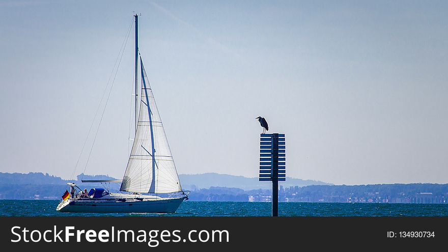 Sail, Water Transportation, Sailboat, Sailing Ship