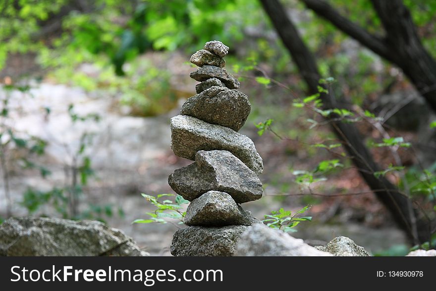 Rock, Tree, Material, Forest