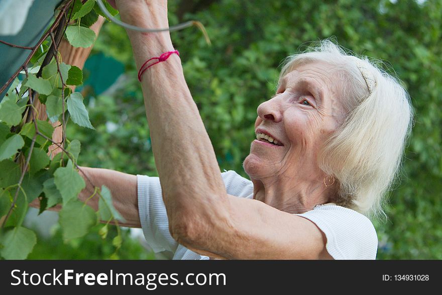 Tree, Senior Citizen, Plant, Girl