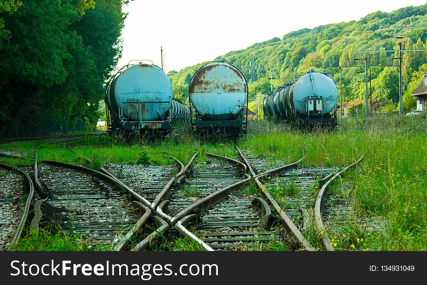 Track, Transport, Rolling Stock, Rural Area