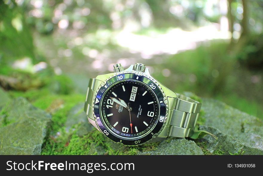 Watch, Photography, Close Up, Grass