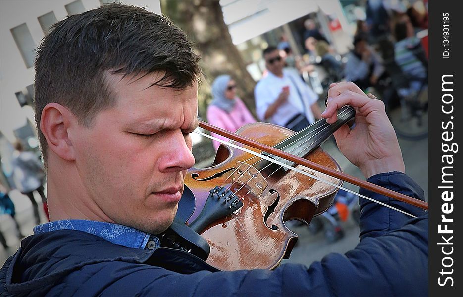 Violin, Violinist, Violin Family, Fiddle