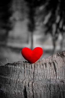 Free Red Heart On The Log Stock Photo - 134990920