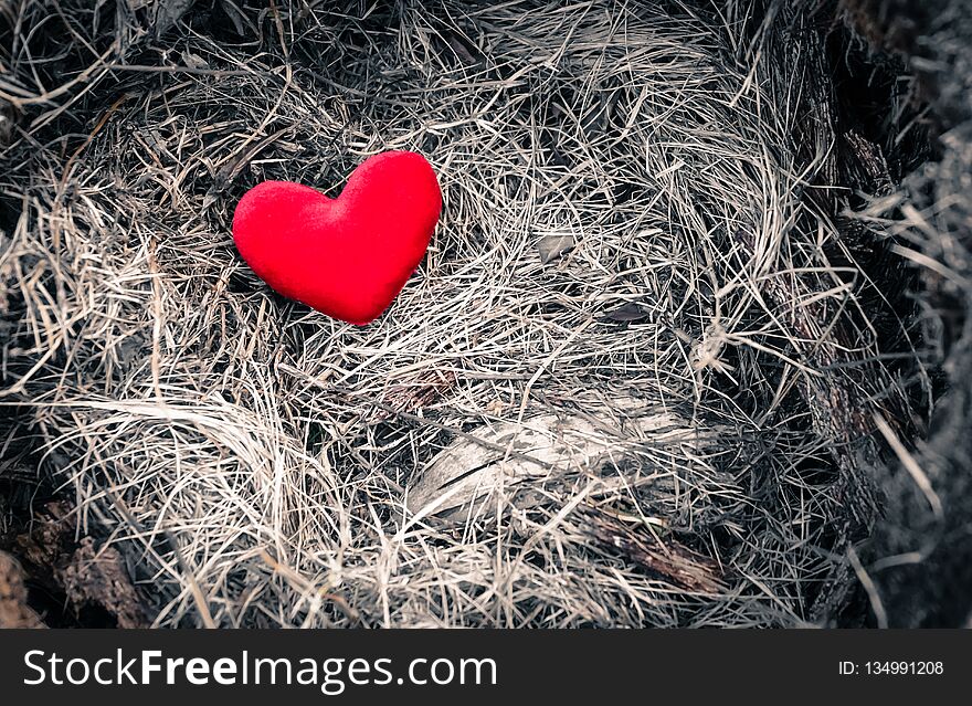 Red heart on the grass with dramatic tone. Red heart on the grass with dramatic tone