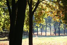 Autumn Park Stock Image Autumn Park Stock Image