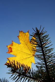 Autumn Theme Royalty Free Stock Image Autumn Theme Royalty Free Stock Image
