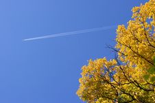 Plane In The Sky In The Autumn Stock Images Plane In The Sky In The Autumn Stock Images