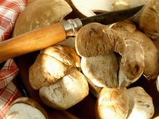 Mushrooms In A Plate With A Knife And A Towel Royalty Free Stock Images Mushrooms In A Plate With A Knife And A Towel Royalty Free Stock Images