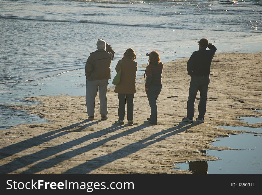 Four people watching whales from the shore of Ptagonian coastline at sunset. Four people watching whales from the shore of Ptagonian coastline at sunset