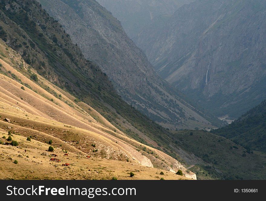Horse in mountain Kirgiz .Sanset