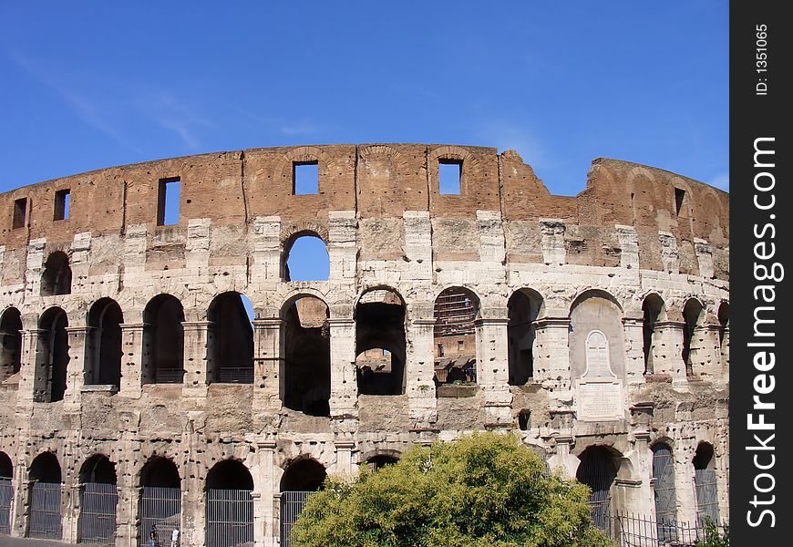 The coliseum during the day with a green bush in front of it