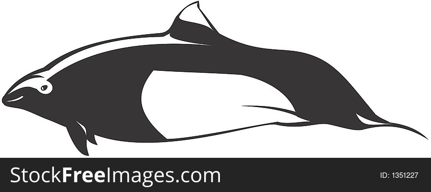 Vector image of dalls dolphin