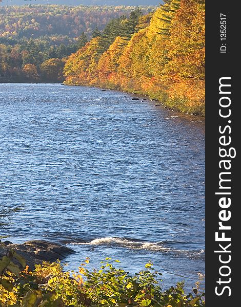 Autumn Colored Trees by a Stream. Autumn Colored Trees by a Stream