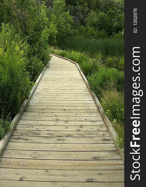 Woodedn path through the hills of Utah. Woodedn path through the hills of Utah