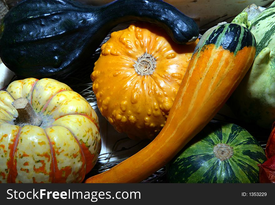 An arrangement of mixed real ornamental gourds. An arrangement of mixed real ornamental gourds.