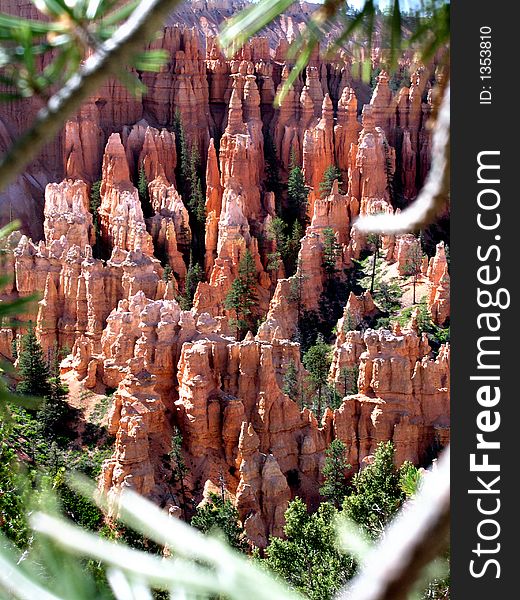 Bryce canyon national park utah in summer. Bryce canyon national park utah in summer