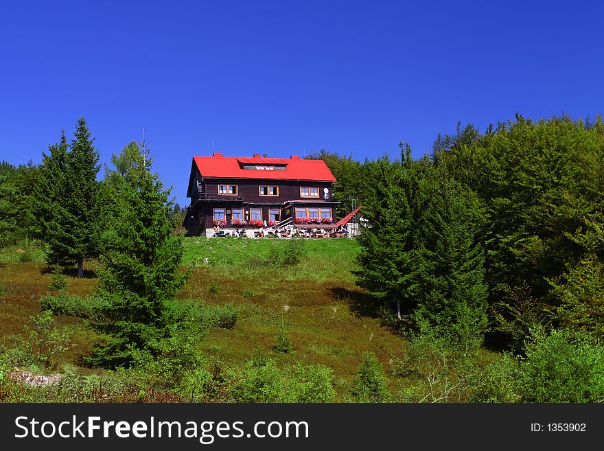 Woody mountain cottage surrounded by green meadow and trees