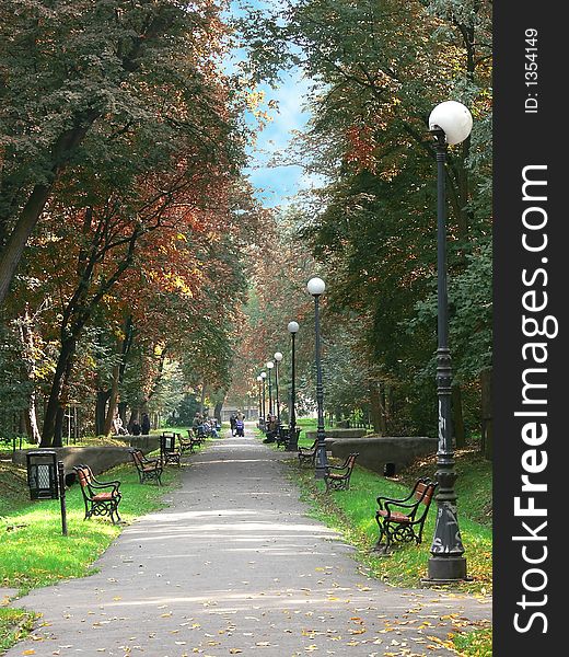 Park alley in autumn with red leaves