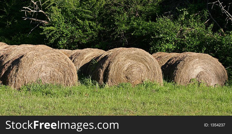 A row of hay bales in the sunshine. A row of hay bales in the sunshine.