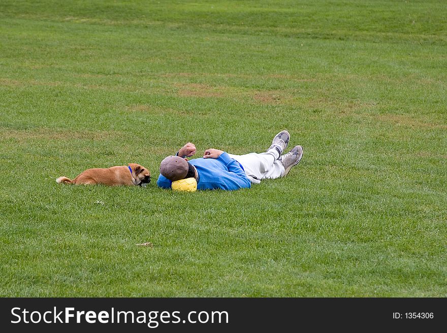 Man in the Park with Dog. Man in the Park with Dog