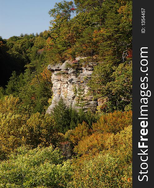 Coor photo of a forest and cliff in fall. Coor photo of a forest and cliff in fall