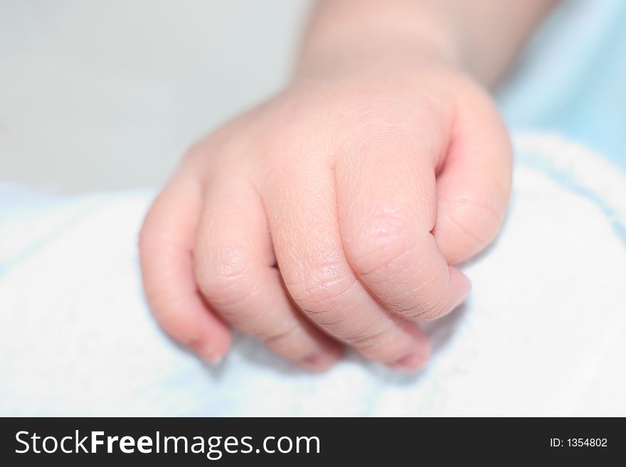 Newborn baby's hand in a fist. Newborn baby's hand in a fist