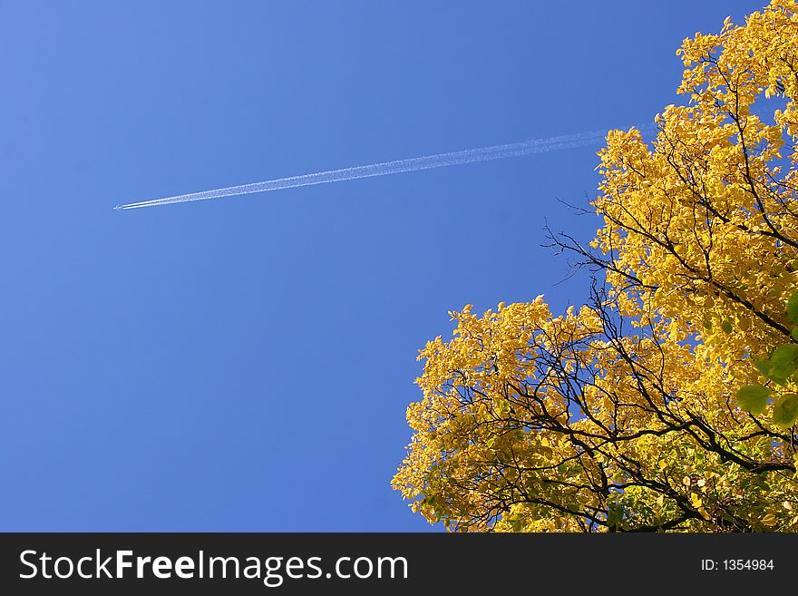 The plane in the sky in the autumn