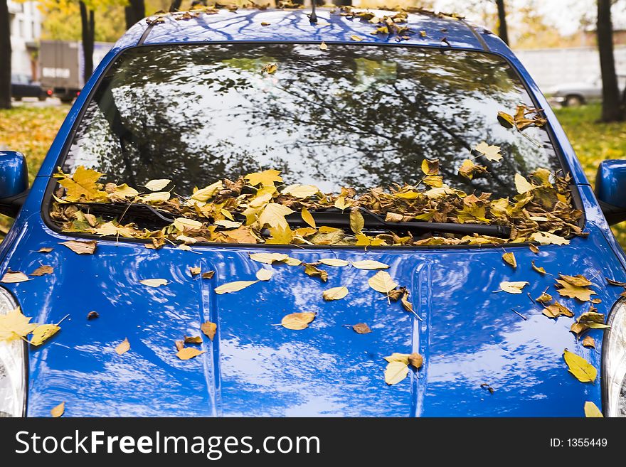 An autumn car