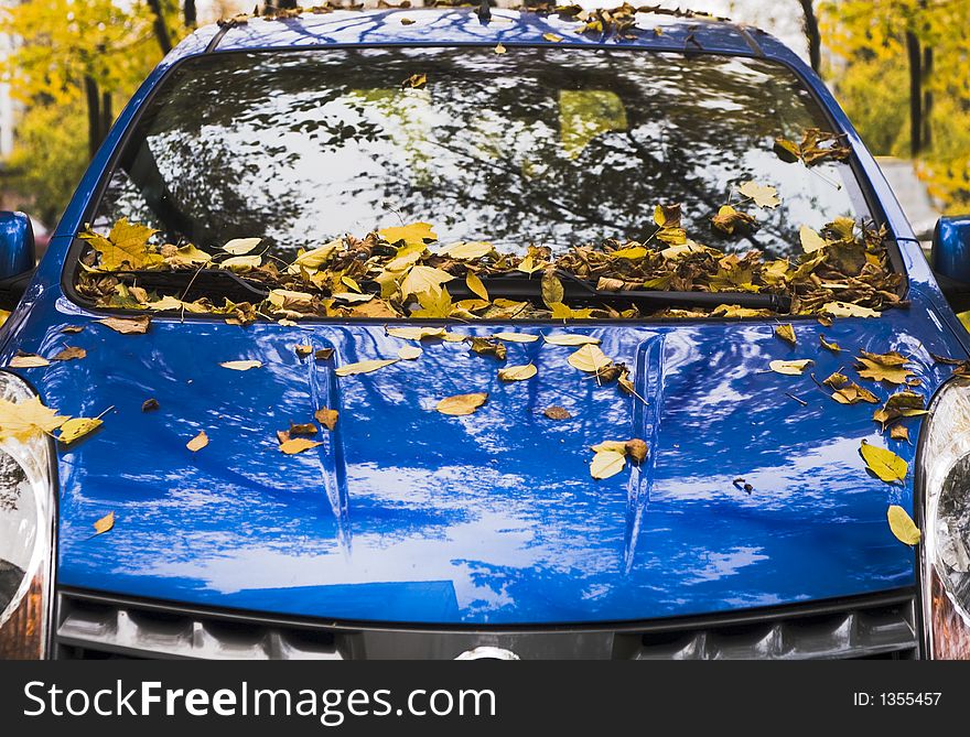 The autumn automobile covered dry leafs. The autumn automobile covered dry leafs