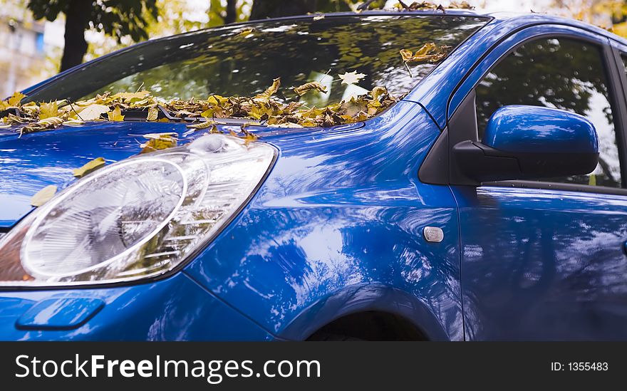 The autumn automobile covered dry leafs. The autumn automobile covered dry leafs