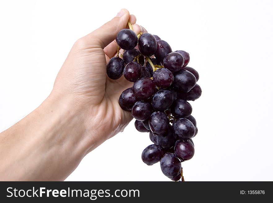 Black grapes in a man hand isolated