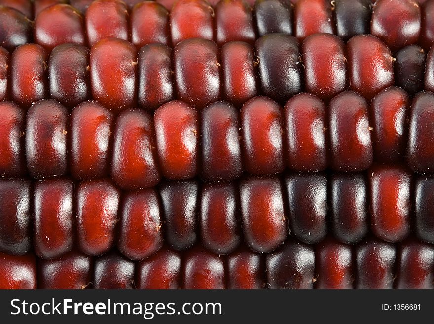 Close up of indian corn kernels. Close up of indian corn kernels