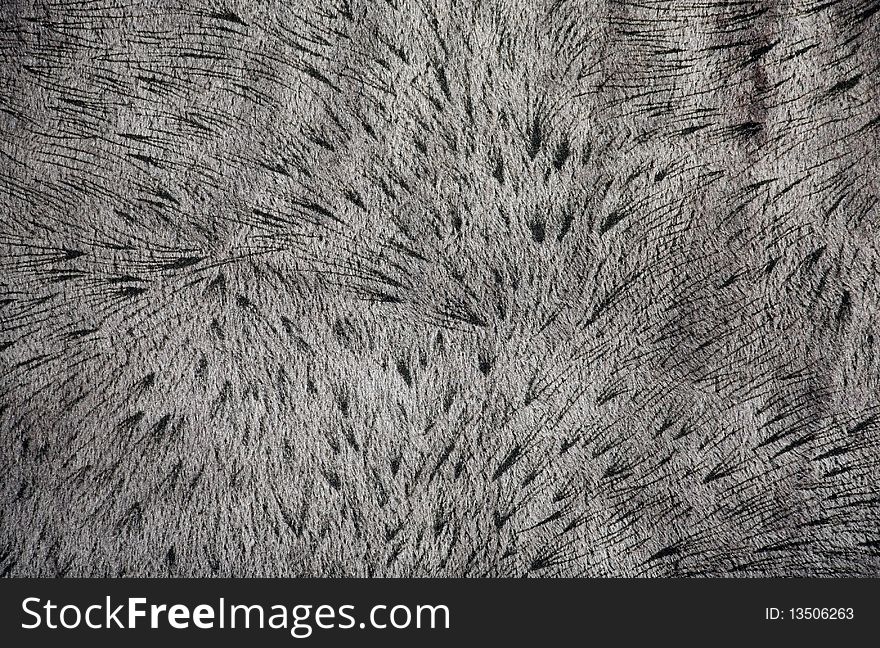 Background of gray lynx fur close up