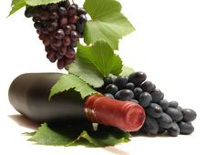 Grapes Wine Stock Photos