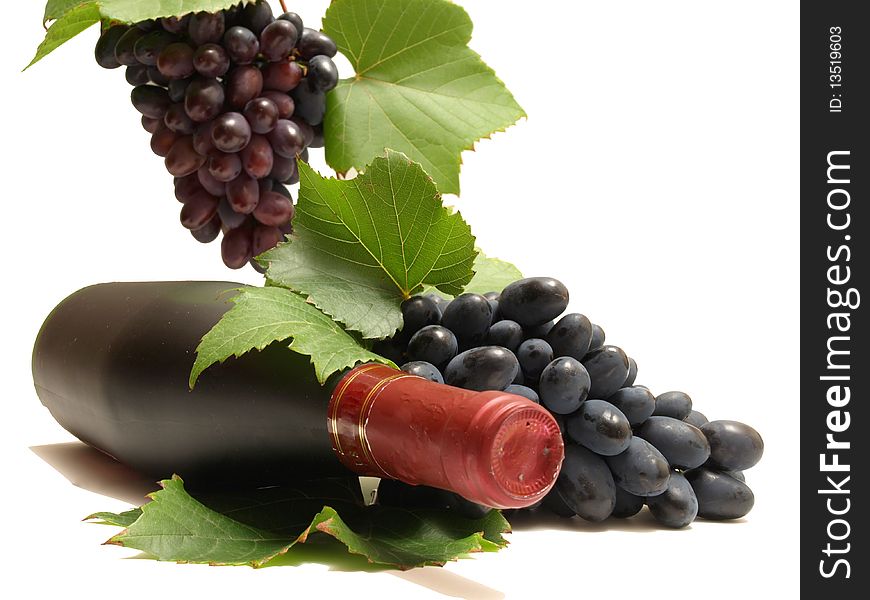 Grapes Wine