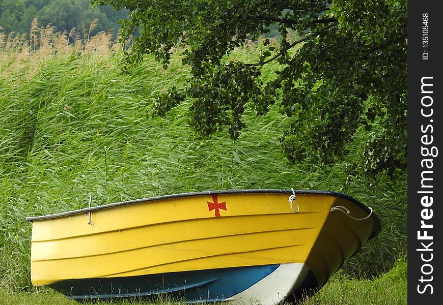Yellow, Boat, Boats And Boating Equipment And Supplies, Grass
