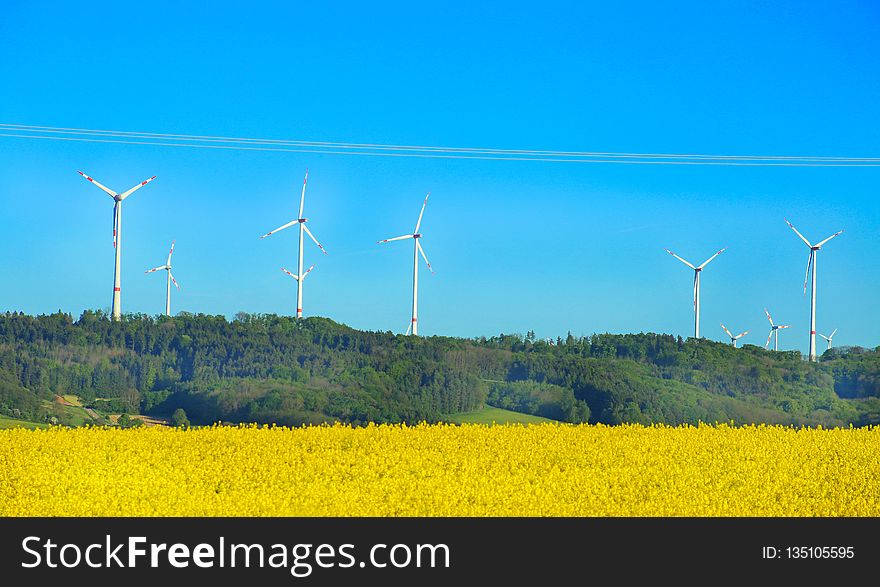 Field, Wind Turbine, Wind Farm, Energy