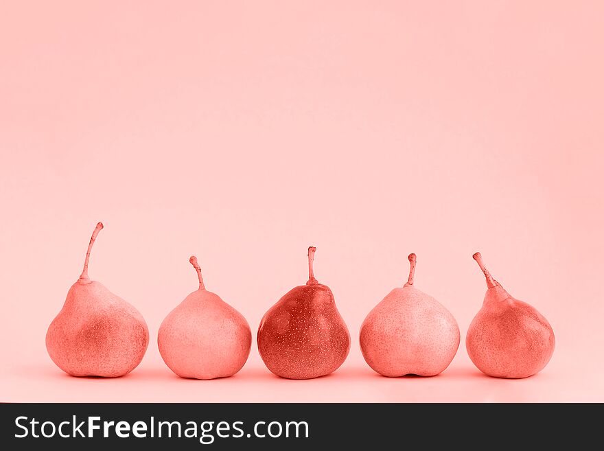 Group of pears on living coral background. Color of the 2019 year