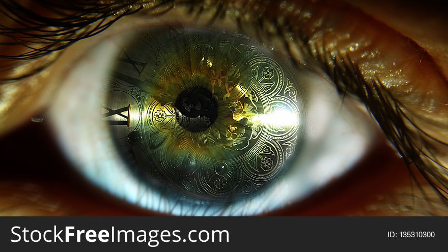 Eye, Eyelash, Macro Photography, Close Up