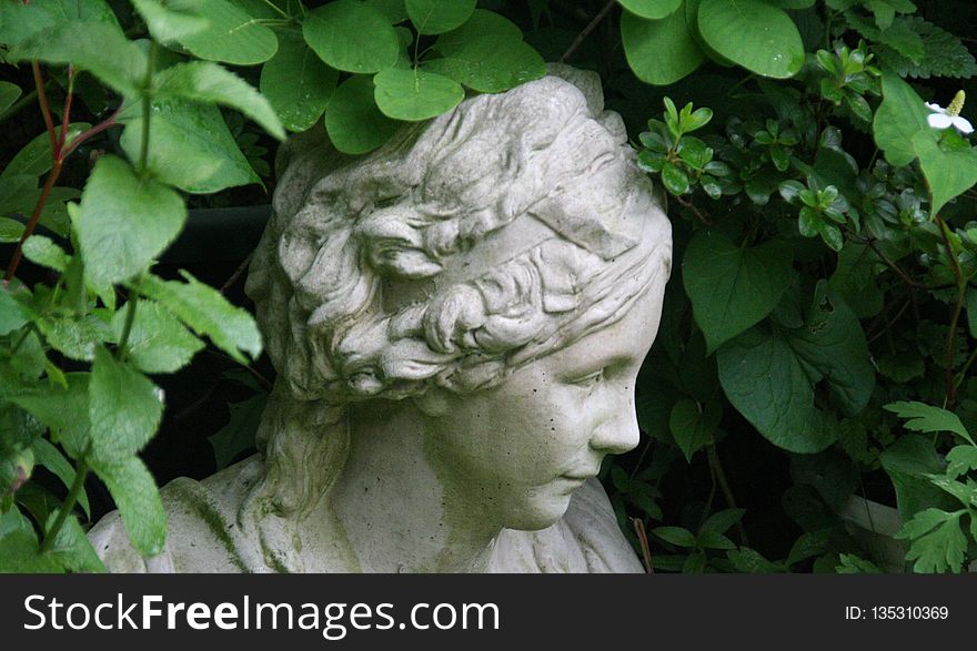 Green, Sculpture, Leaf, Head