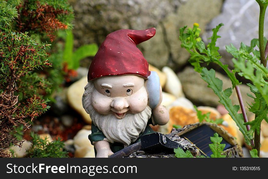 Garden Gnome, Lawn Ornament, Statue, Leaf