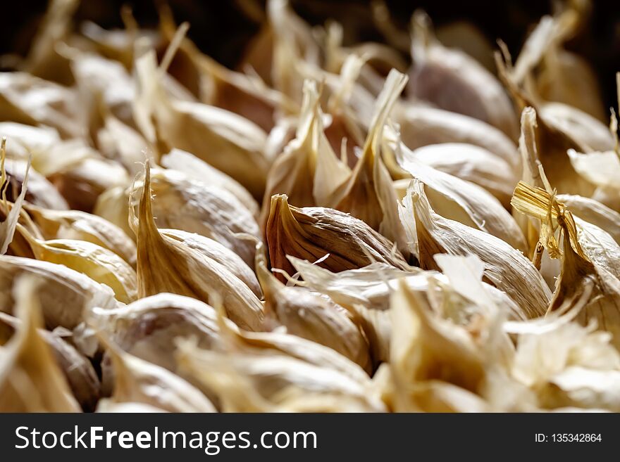 White garlic pile texture. Lots of common fresh garlic close up photo. white garlic heads on display